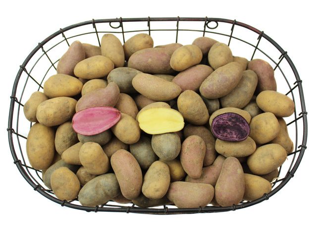 Bunte Kartoffeln im Drahtkorb